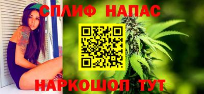 jwh Будённовск