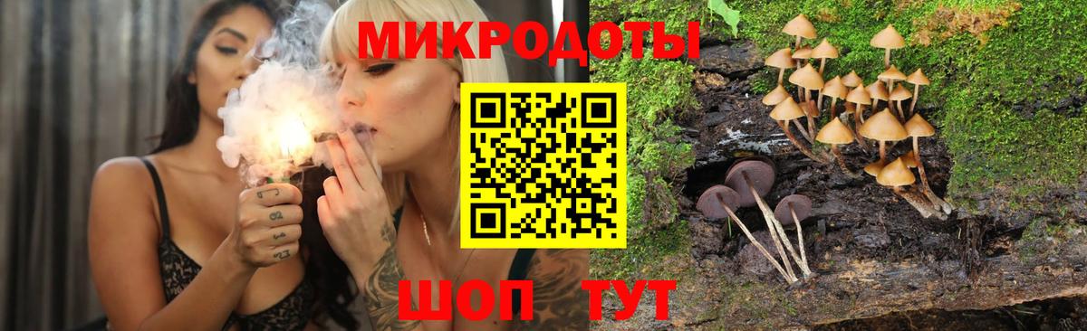 Галлюциногенные грибы Psilocybe  Галлюциногенные грибы Cubensis  Назрань  продажа наркотиков  Вход с VPN 